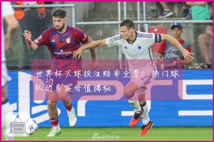 世界杯买球投注赔率全景：热门球队的真实价值揭秘