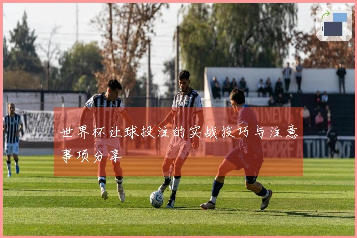 世界杯让球投注的实战技巧与注意事项分享