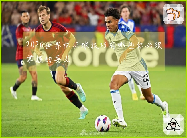 2026世界杯买球技巧有哪些你必须掌握的要点