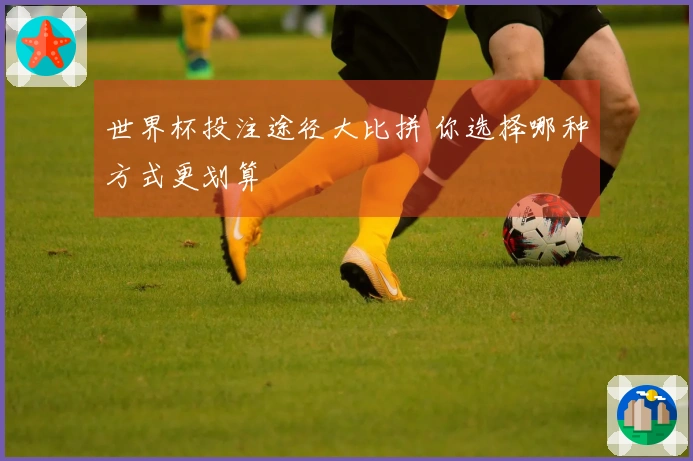 世界杯投注途径大比拼 你选择哪种方式更划算