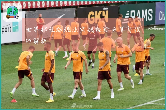 世界杯让球玩法实战经验分享与技巧解析
