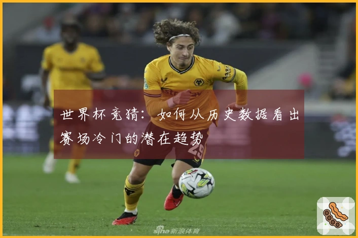 世界杯竞猜：如何从历史数据看出赛场冷门的潜在趋势
