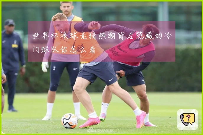 世界杯滚球竞猜热潮背后隐藏的冷门球队你怎么看