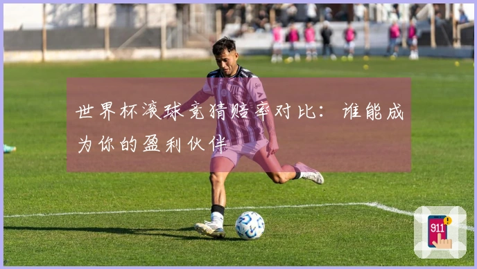 世界杯滚球竞猜赔率对比：谁能成为你的盈利伙伴