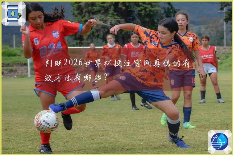 判断2026世界杯投注官网真伪的有效方法有哪些？