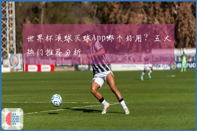 世界杯滚球买球App哪个好用？五大热门推荐分析