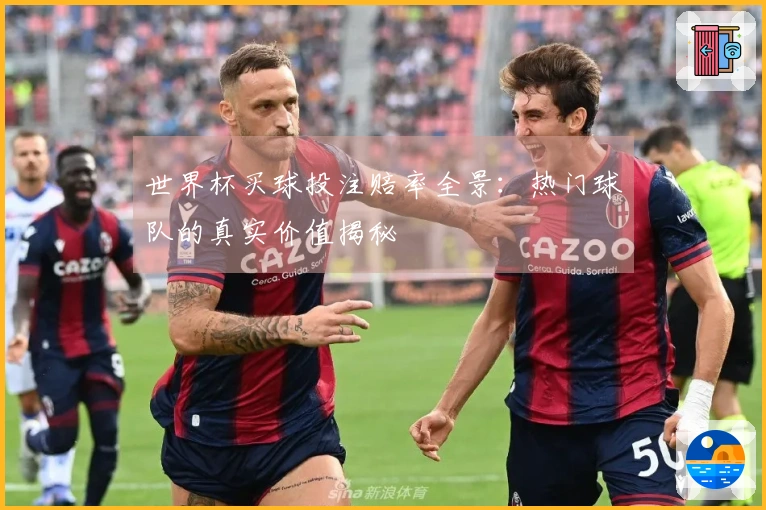 世界杯买球投注赔率全景：热门球队的真实价值揭秘