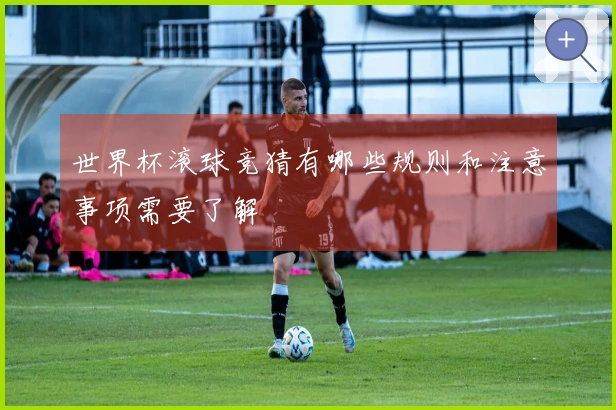 世界杯滚球竞猜有哪些规则和注意事项需要了解